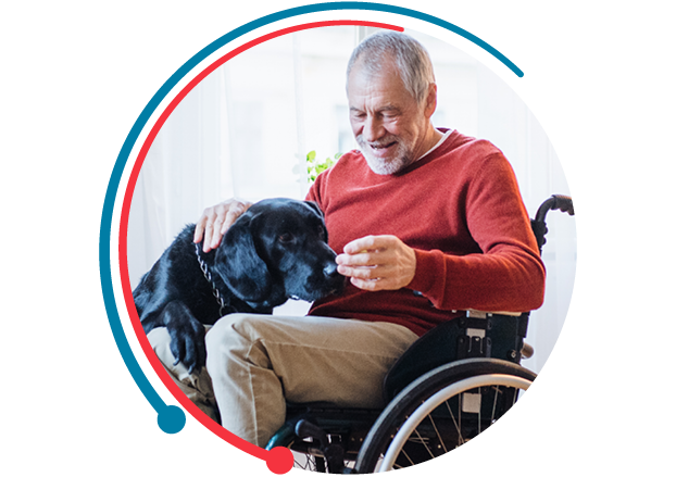 Senior man in a wheelchair petting his service dog